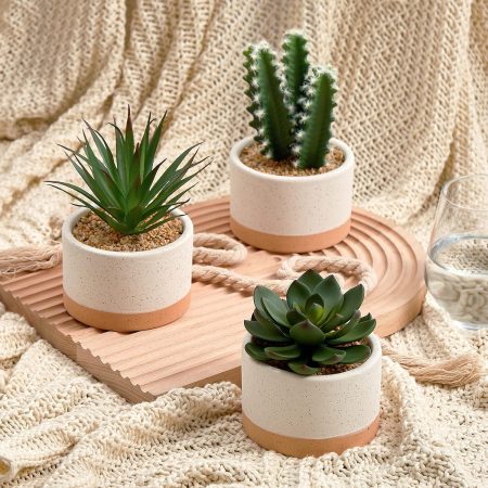 Artificial Succulent in Ceramic Pot